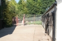 kennels-yard2