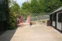 kennels-yard3
