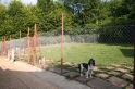kennels12
